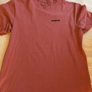 Patagonia Tshirt